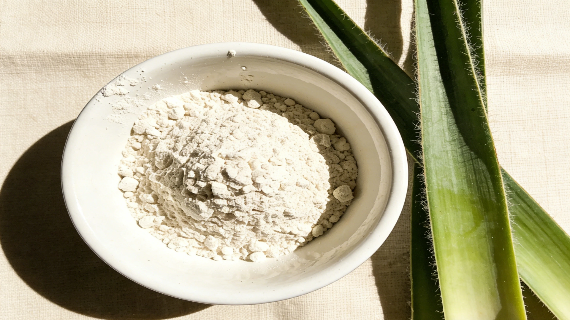 Yucca Extract Improving Digestive Function