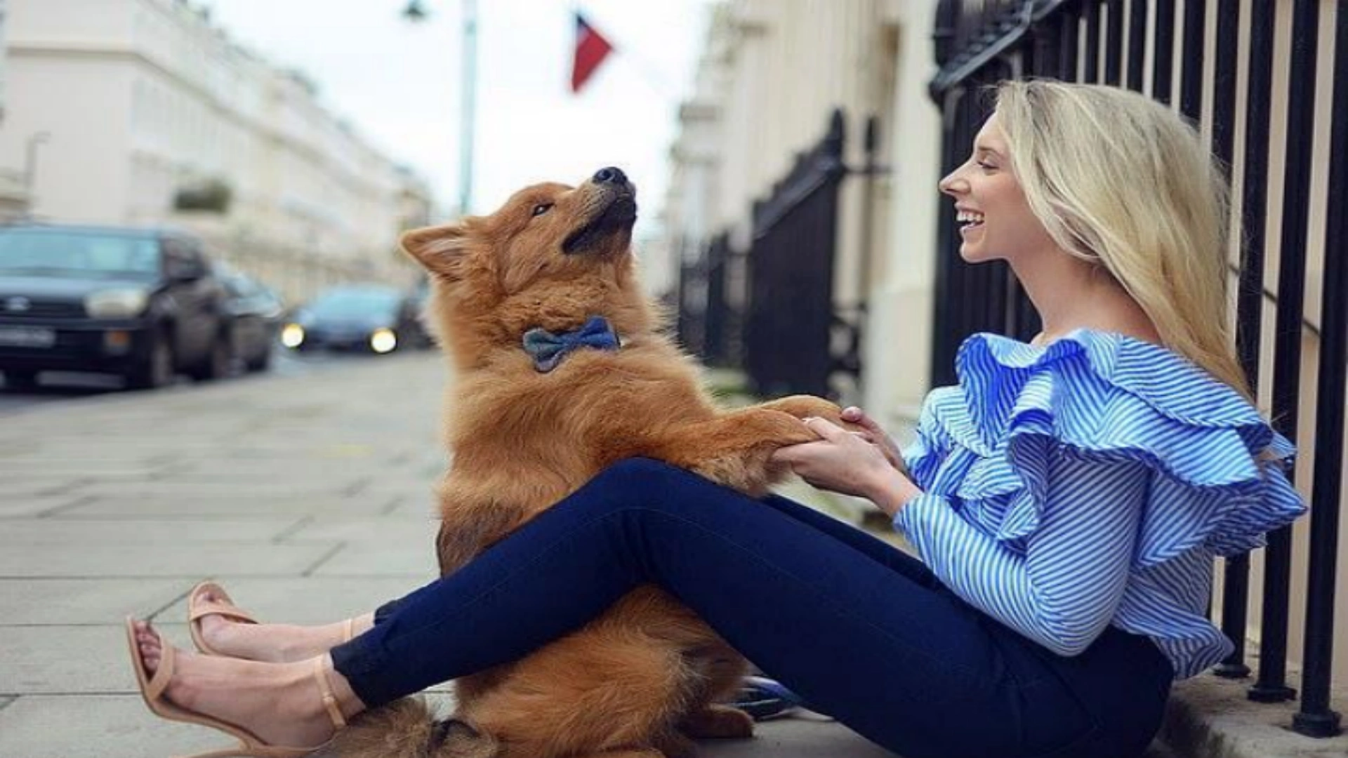 Yucca Extract Pet Health