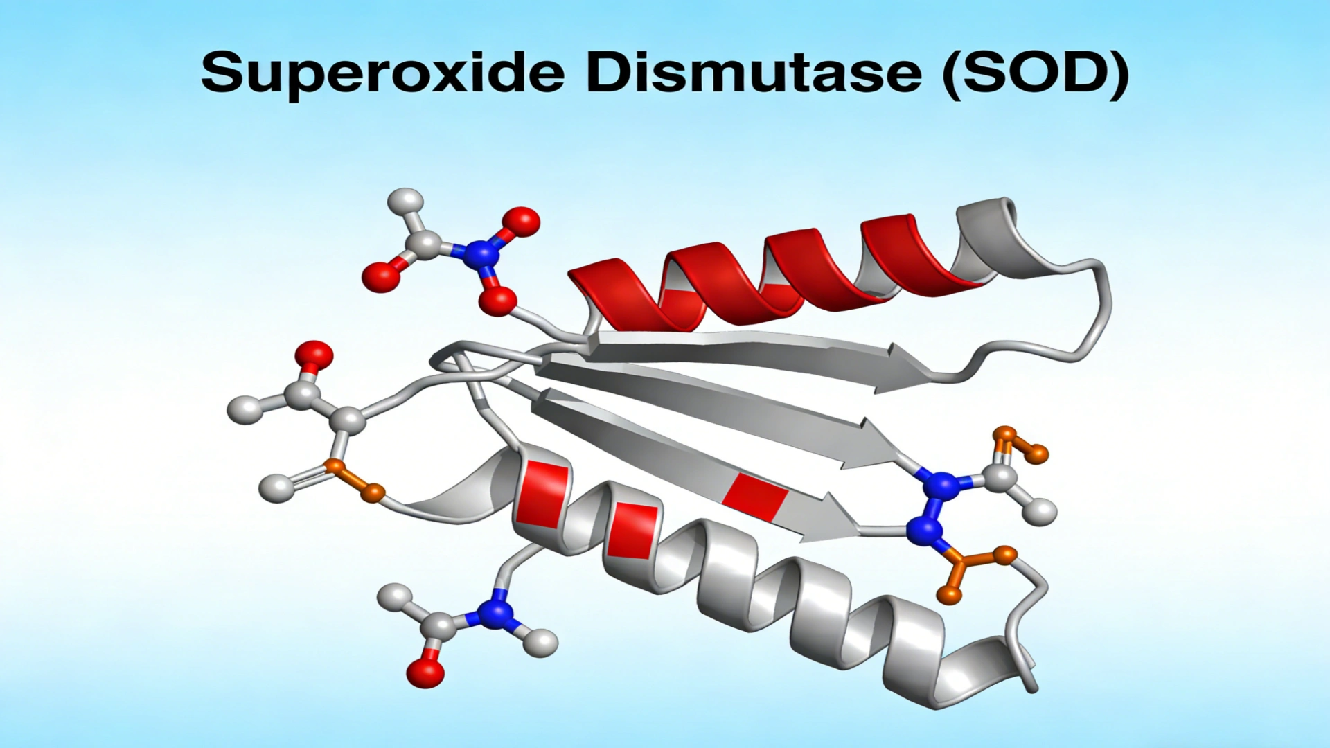 Superoxide Dismutase Price on Pet Longevity and Health