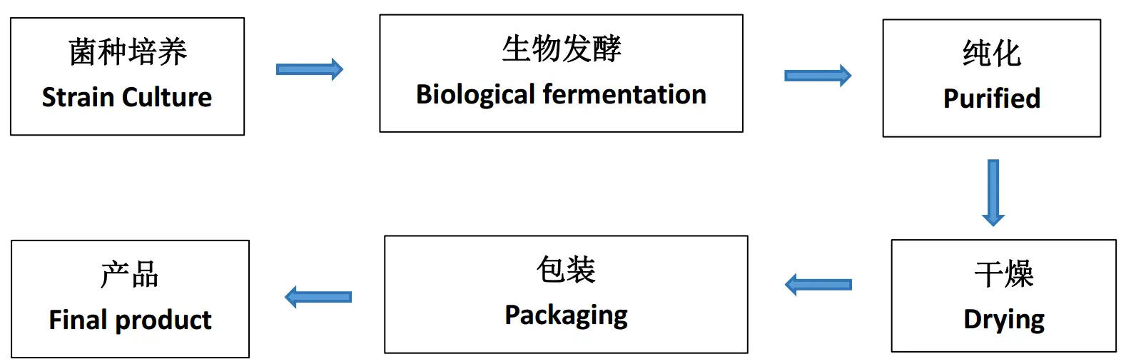 L-Histidine Manufacturing Process