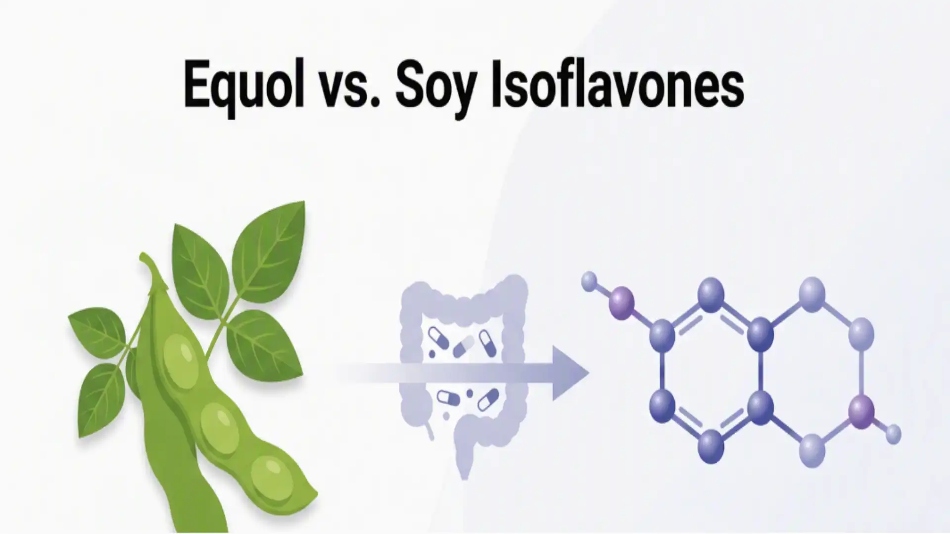 Equol vs. Soy Isoflavones